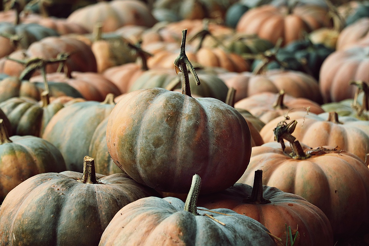 SAP Security Patch Day Addresses 21 Vulnerabilities, 4 Classified as Critical