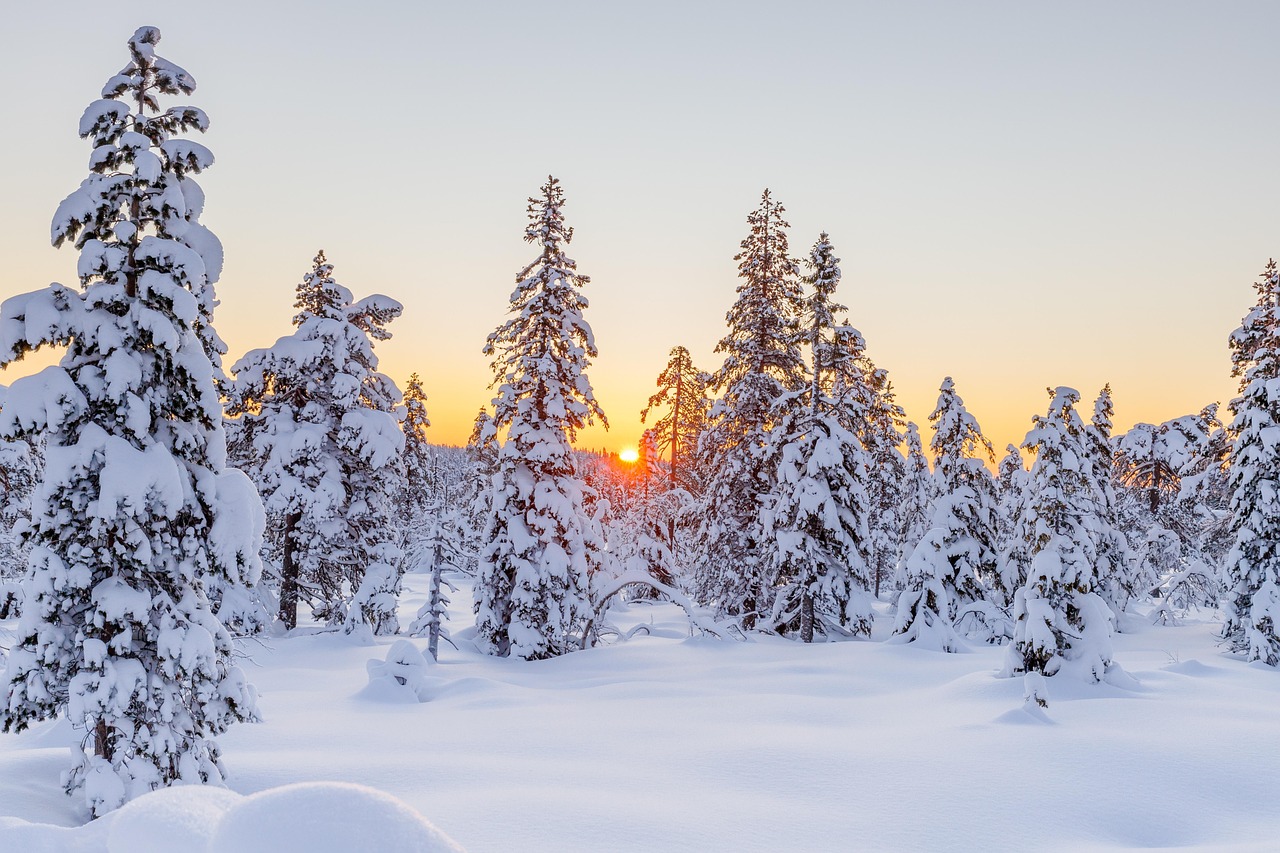 Evergreen Finance Tips for the UK: Building Financial Wellbeing