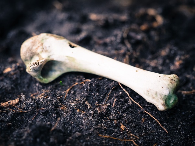 Critical zlib Flaw Let Attackers Can Trigger a Buffer Overflow via untgz