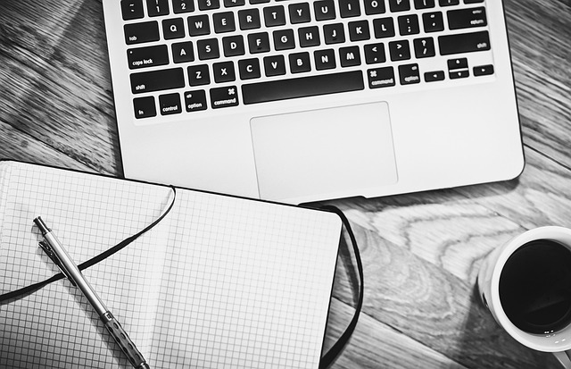 From Startup Vision to Wholesale Success: The Entrepreneurial Path of Ofir Shenkrait
