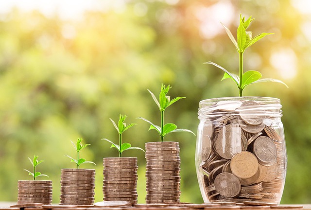Cash Home Buyers vs. Realtors: Which Option Is Best for Motivated Sellers?