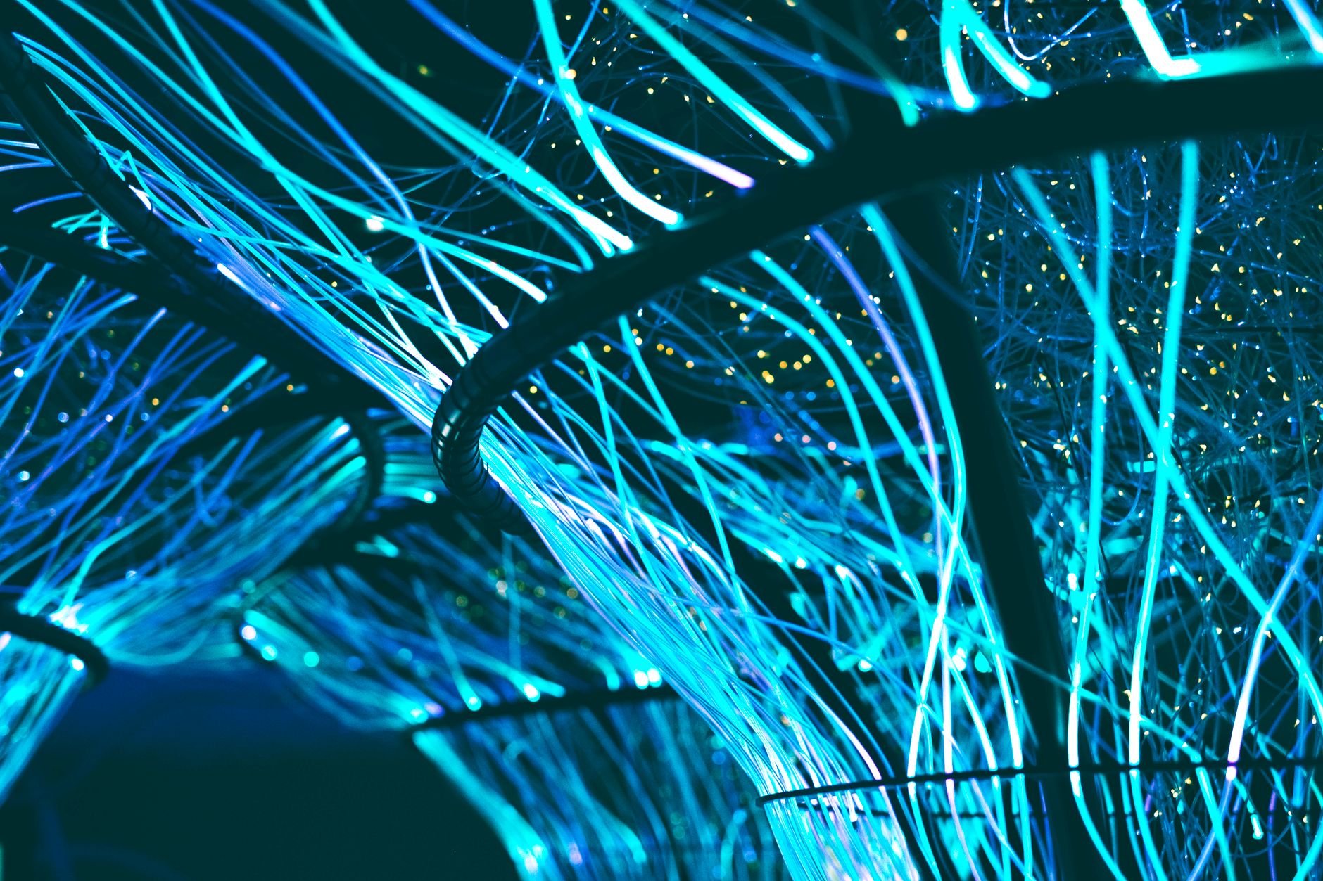 The Dual Front: Navigating Hacking Threats and Fortifying Data Protection in the Digital Age